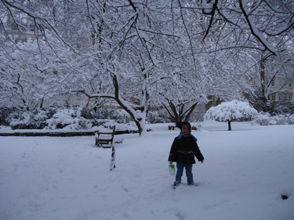 2 Feb snow 6.jpg